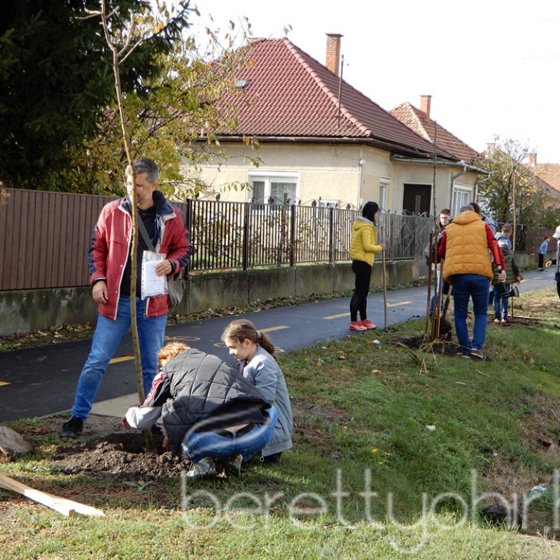 Közösségi faültetés Berettyóújfaluban 53